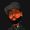 Quis