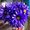 MaryLeeParker Photography