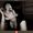 cristel cristel_aguerO