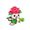 Pickly Flowers