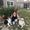 Kathy McKim