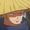 zoro sola