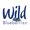 Wild Blueberries