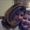 Tracy Smith
