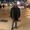Hesham Magdi