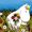 moomins valley calling