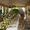 Port City Rentals