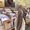 Batoul Abass