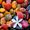 Salud Totalathenea