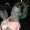 Lorinda Young