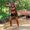 Kacie Samson
