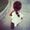 M Dawn