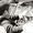 Louis Botha