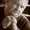 Ken Kneringer
