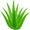 Aloe Guide