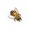 iambusybee