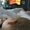 Elizabeth May