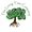 The Living Tree Company