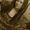 Brittany Absher
