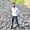 Amrut