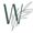 Willow Counseling, PLLC