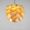 Wood lamp.cn