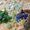 Sea Glass & Sunsets