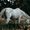 eino /www.einowriter.xyz