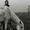 Anna Pavlova
