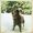 Marley Bear