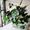IRIS floral + event design studio