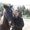 Debra Gilbert