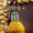 Thalia _ Michael