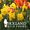 Holland Bulb Farms