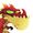 Bearded Dragon