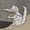 swan