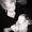 CHeryl Burlison Hardin