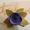 NOLA ECLECTIC CREATIONS
