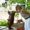Christine Strickling
