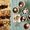 Hot Chocolate Ideas