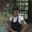 Shaunne Norwood