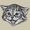 MeowThings