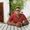 Magno Clarao