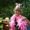Diane Miller
