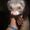 Beth Runkle