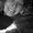 Delany Dvorak
