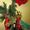 THE CHRISTMAS BOUTIQUE