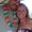 Leslie Scharich Amoroso