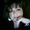 Theresa Alvarez Wilson