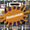 dako2151 dako2151